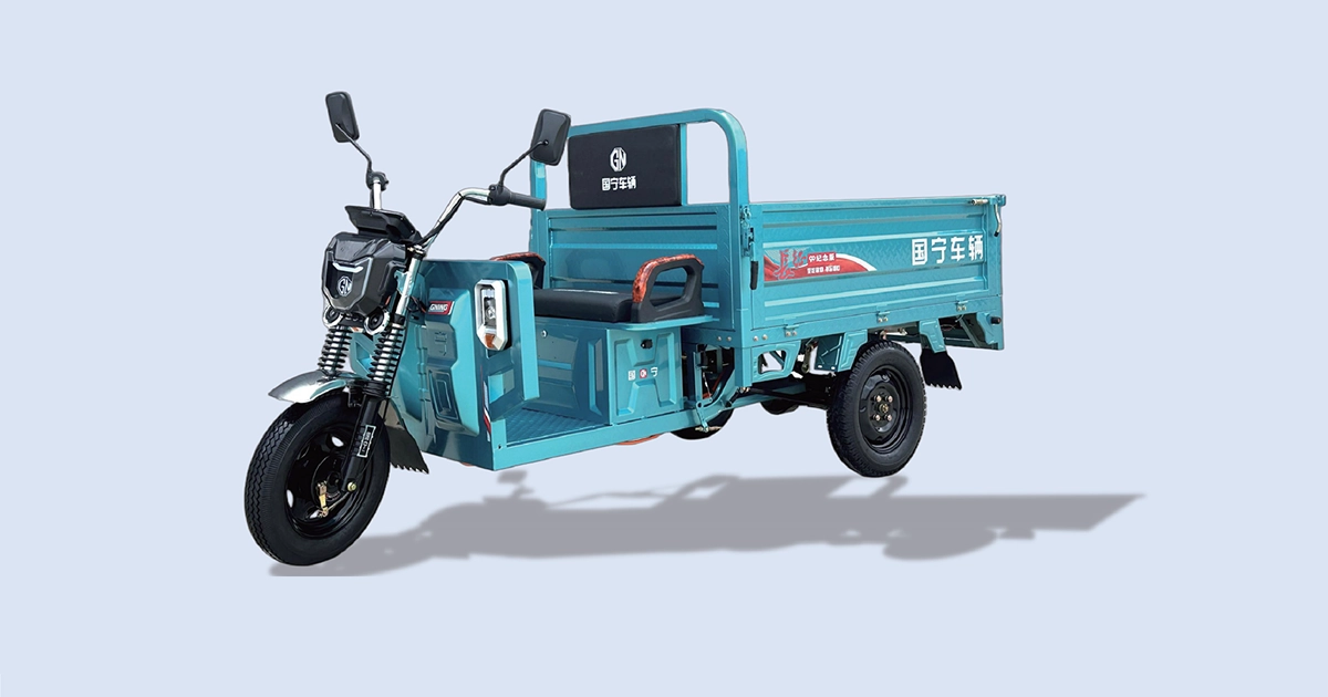 GN-Long March 160 3 Door Electric Cargo Tricycle | Guoning