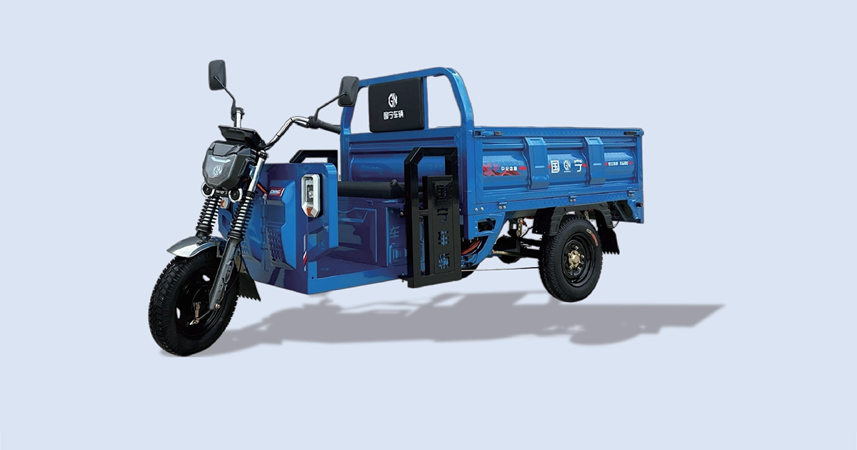 GN-Long March 170 3 Door Electric Cargo Tricycle | Guoning