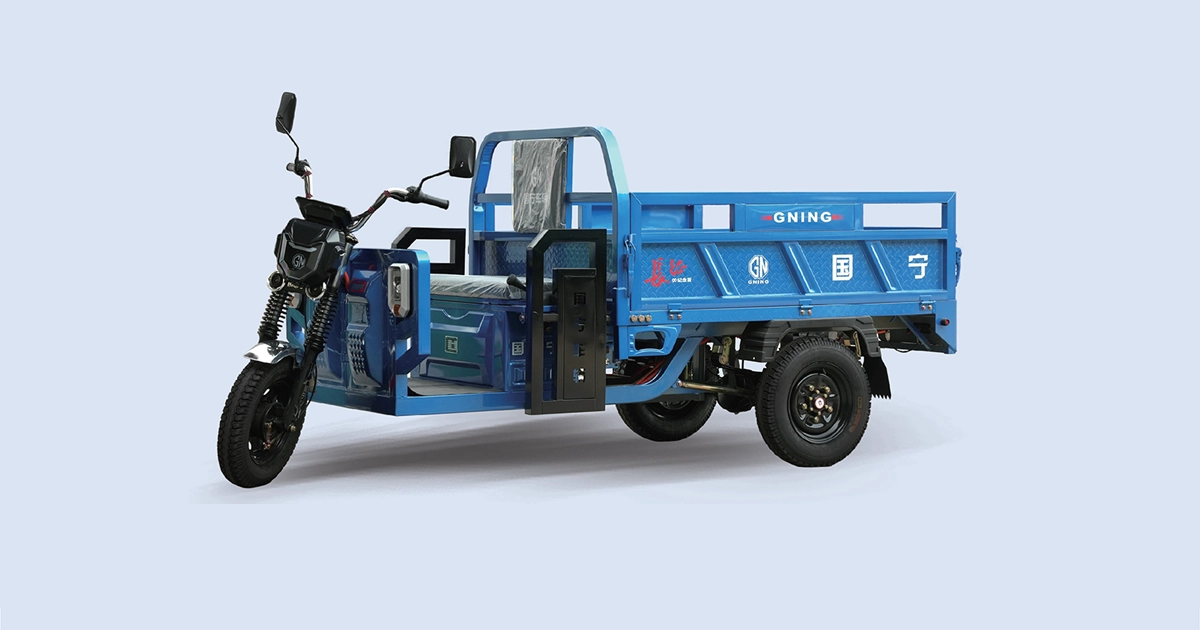 GN-Long March 170A 3 Door Electric Cargo Tricycle | Guoning