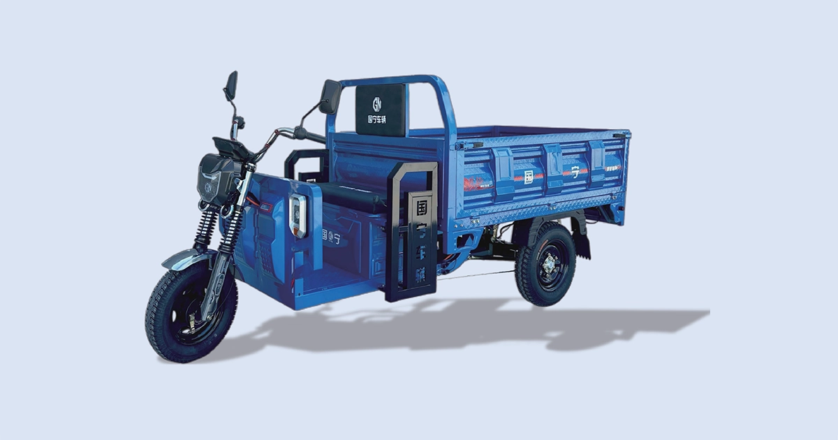 GN-Long March 180 3 Door Electric Cargo Tricycle | Guoning